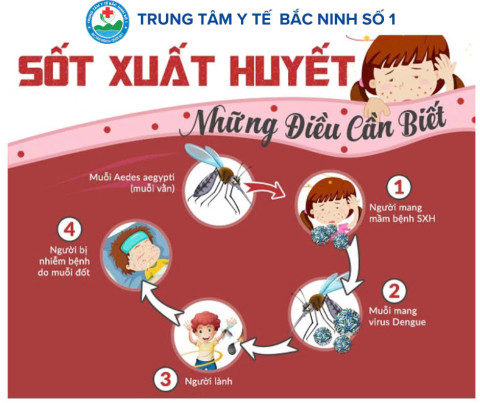 Phòng chống sốt xuất huyết