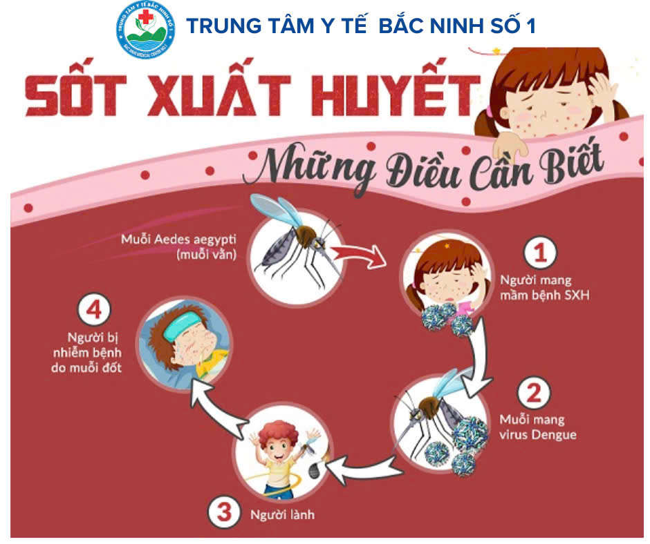 Phòng chống sốt xuất huyết